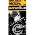 (YOU CAN'T ALWAYS GET) WHAT YOU WANT　Cornelius